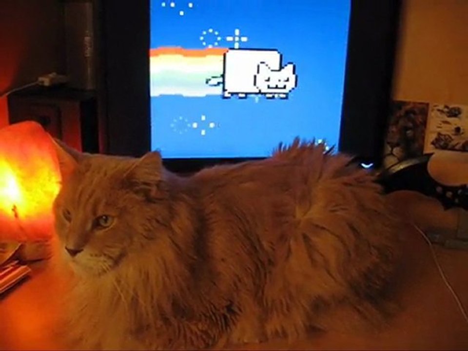 Bibi et Nyan Cat