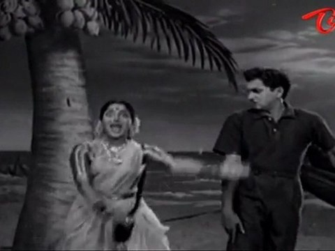 Telugu Old Songs | Chaduvukunna Ammayilu Movie | Niku Todu kavali Song | ANR | Savitri