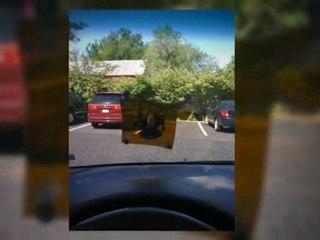 65340  auto glass installation