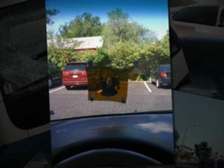 28661  windshield installation pricing