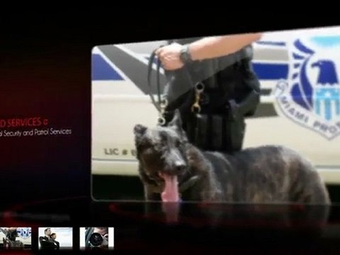 Miami Security Guards 305-264-7878