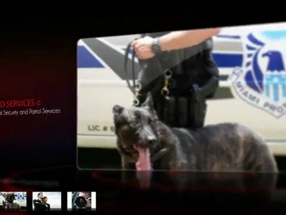 Miami Security Guards 305-264-7878