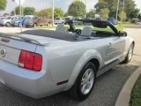 Used 2006 Ford Mustang Saint Cloud FL - by EveryCarListed.com