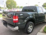 Used 2006 Ford F-150 Saint Cloud FL - by EveryCarListed.com