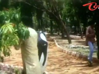 Kota Srinivasa Rao's Gun Missing ,Comedy Scene At Park