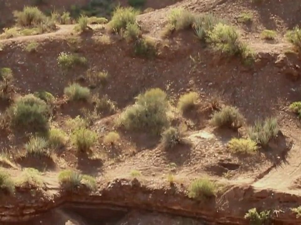 biggest backflip ever Cameron Zink