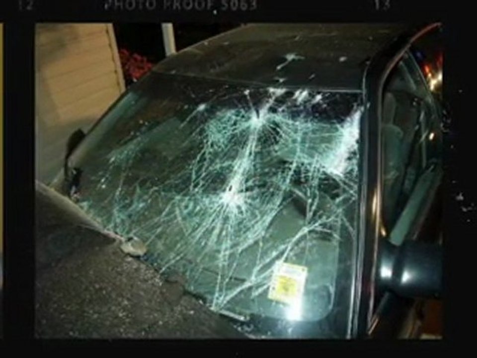 65248  windshield repair shop