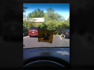 63866  windshield installation pricing