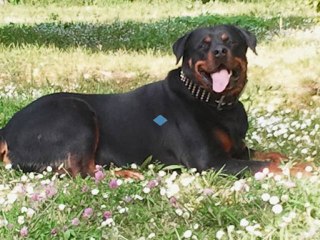 kouma et ses beaux colliers de chez Soukha_0001