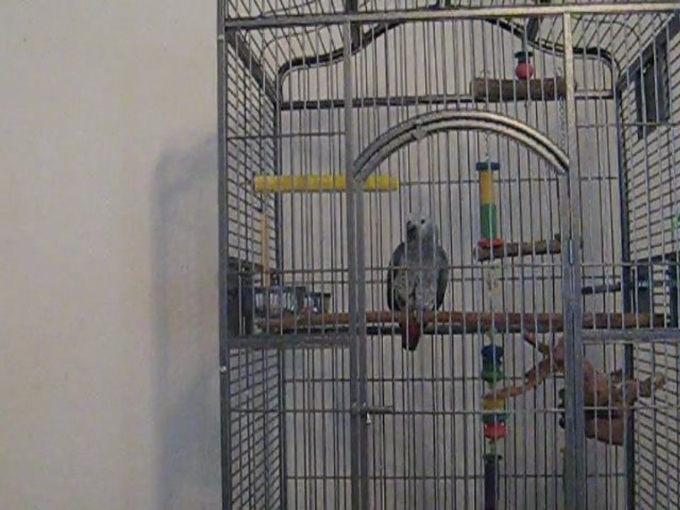 discution de nala