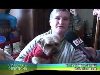 Musée de la chope à bière monté