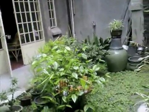 Richard Texier - Zao Wou-Ki Rouge tres tres fort