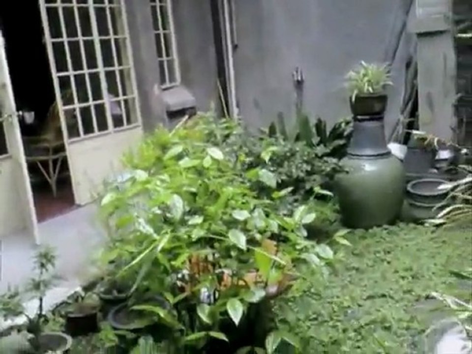 Richard Texier - Zao Wou-Ki Rouge tres tres fort