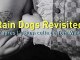 Rain Dogs Revisited @ Salle Pleyel