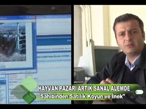 Hayvan pazarı artık sanal alemde