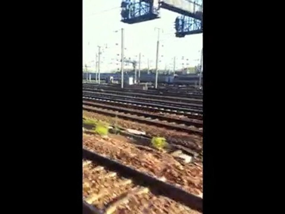 reprise Alex Keren "once upon a time" concours Overbooke Vincent Toma