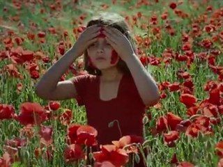 La clé des champs Bande Annonce