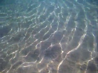 foto sub marsa 039