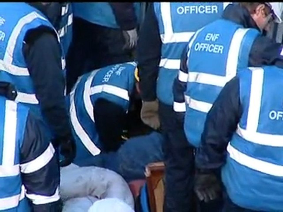 OCCUPY DALE FARM: Protesters' tower destroyed