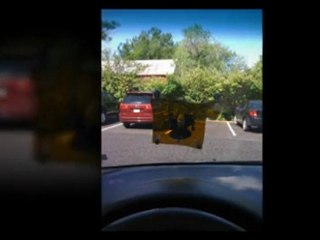 28071  auto glass quote