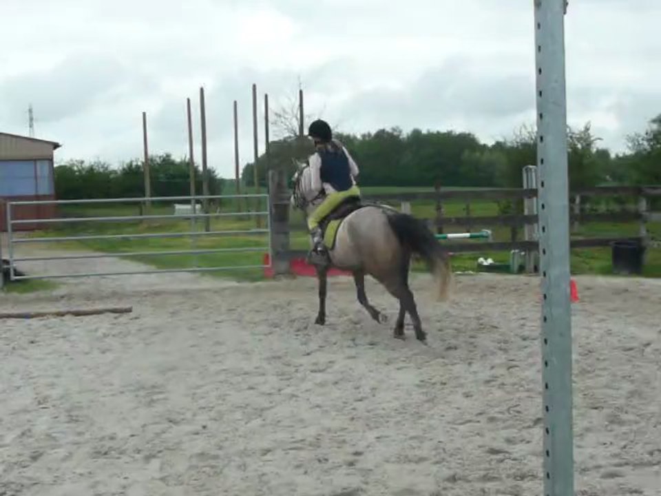 Quandy Des Champeys ♥