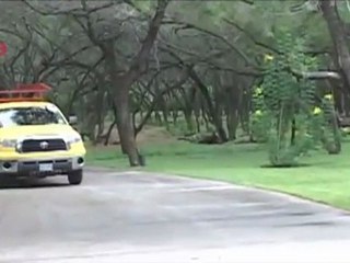 McAllen Pest Control - Tick Control