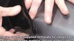 Episode #194 - 2010+ Honda CR-V Hood Air Deflector Installation