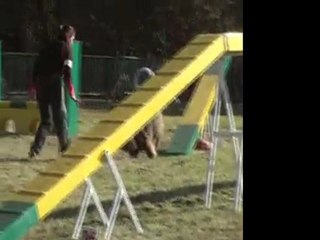 Auchy les mines - 16 Octobre 2011 (Bambou).wmv.AVI