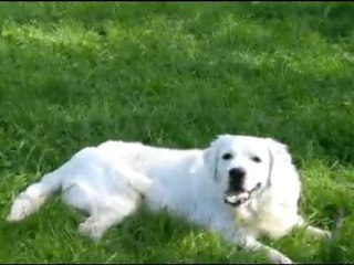 filou promenade 15 octobre 2011