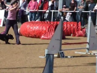 Vodka Cholet Octobre 2011