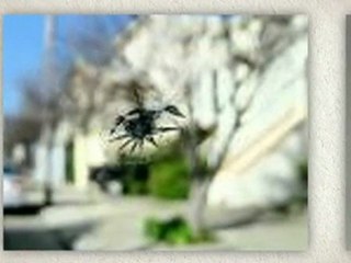 27569  auto glass quote