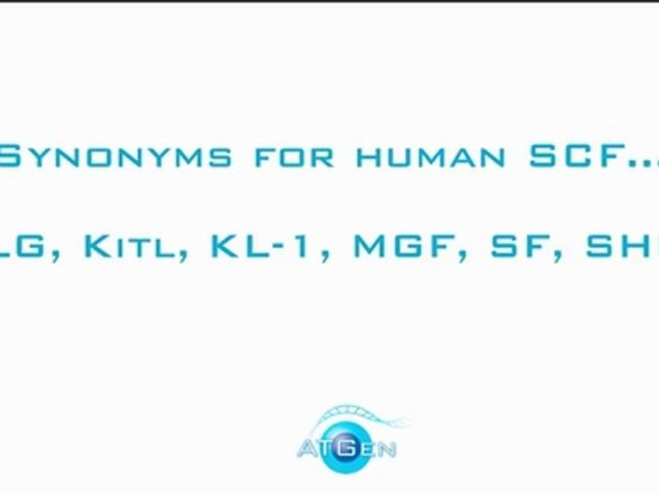 Recombinant Human Stem Cell Factor
