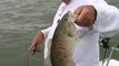 Perch Fishing for Smallmouth Bass Lake Erie Michigan