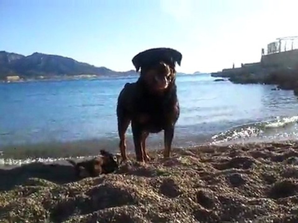 Vidéo0028