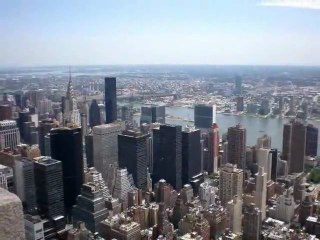 2 Bees in New York City (01)