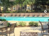 Doral Oaks Apartments in Temple Terrace, FL - ForRent.com