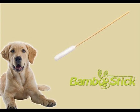 BambooStick: the best dog ear cleaning technique