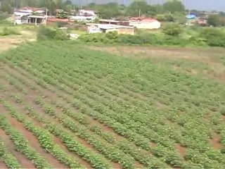Bright Solar Water Pump at Savarkundla ( Gujarat )