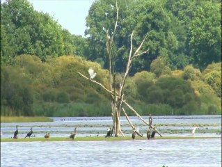 Réserve Naturelle Etang des Landes à Lussat dans la Creuse
