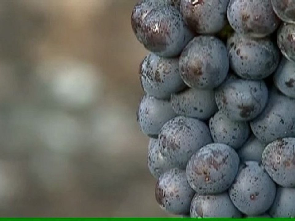 Chronique Briguet HR