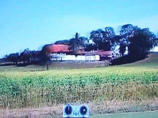 clearview flight simulator. special edition program