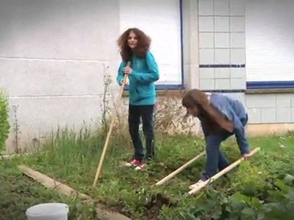 Savez-vous planter des choux ?