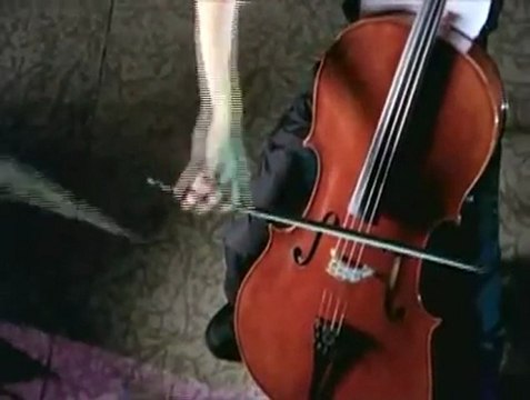 Christine Fellows - Migrations