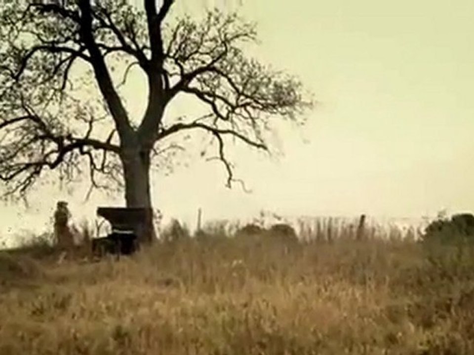 Royal Wood - Juliet