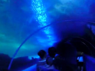 UNDERWATER WORLD OF QINGDAO , China