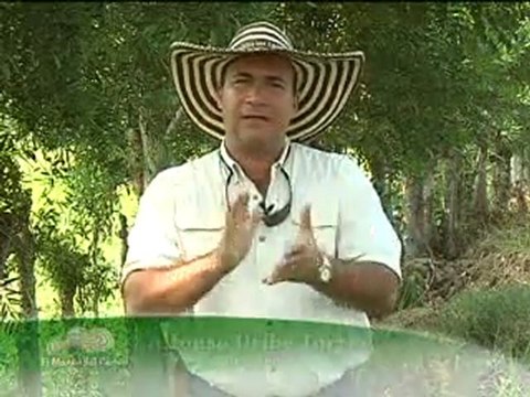 1_VIERNES 21 OCTUBRE 2011 animals novartis