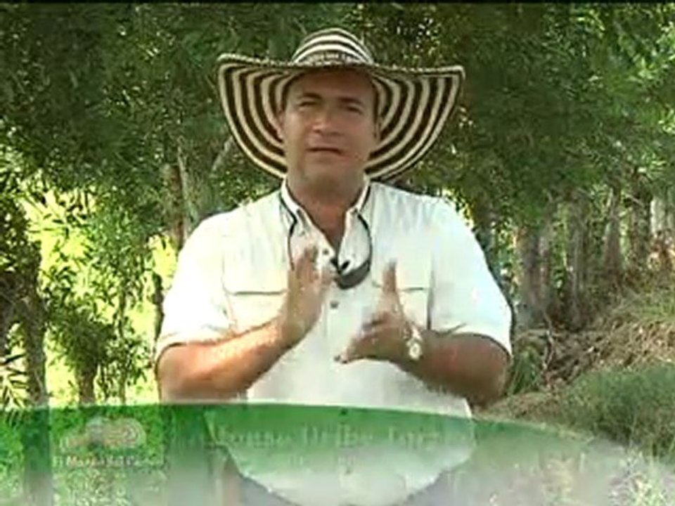 1_VIERNES 21 OCTUBRE 2011 animals novartis