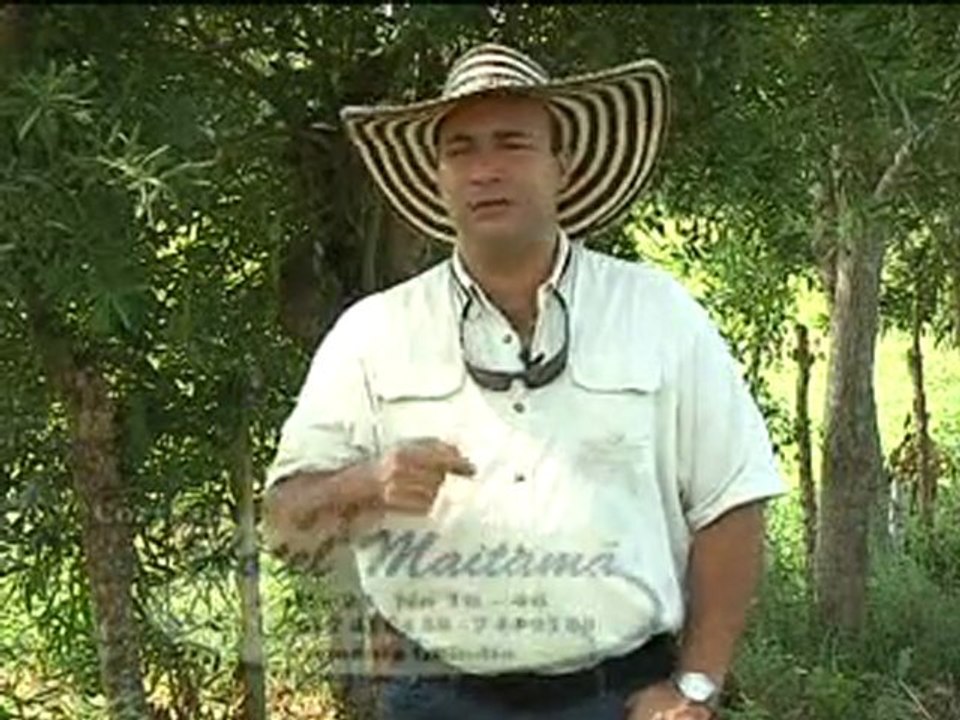 2_VIERNES 21 OCTUBRE 2011 animals novartis