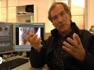 Ce que nous apprennent les images de la capture de Kadhafi