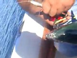 Jigging tekniği ile balık avı: Mevlüt SERİN 20.10.2011 orkinos 3kg